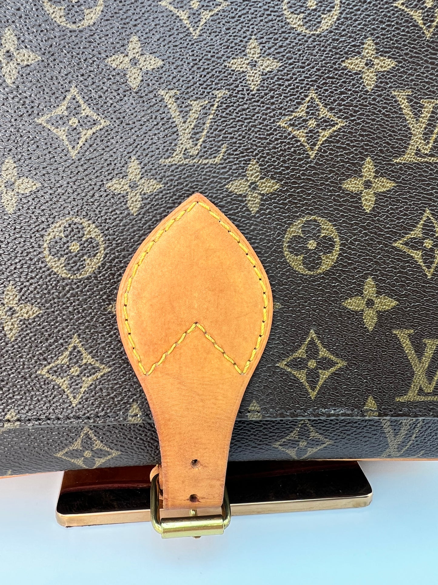 Louis Vuitton Cartouchiere GM