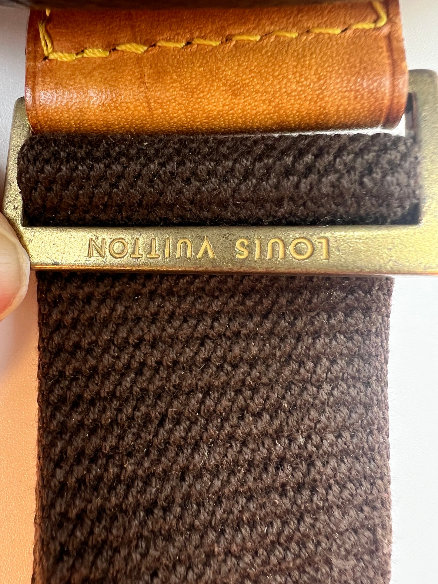 Louis Vuitton Pochette Gange Bum Bag