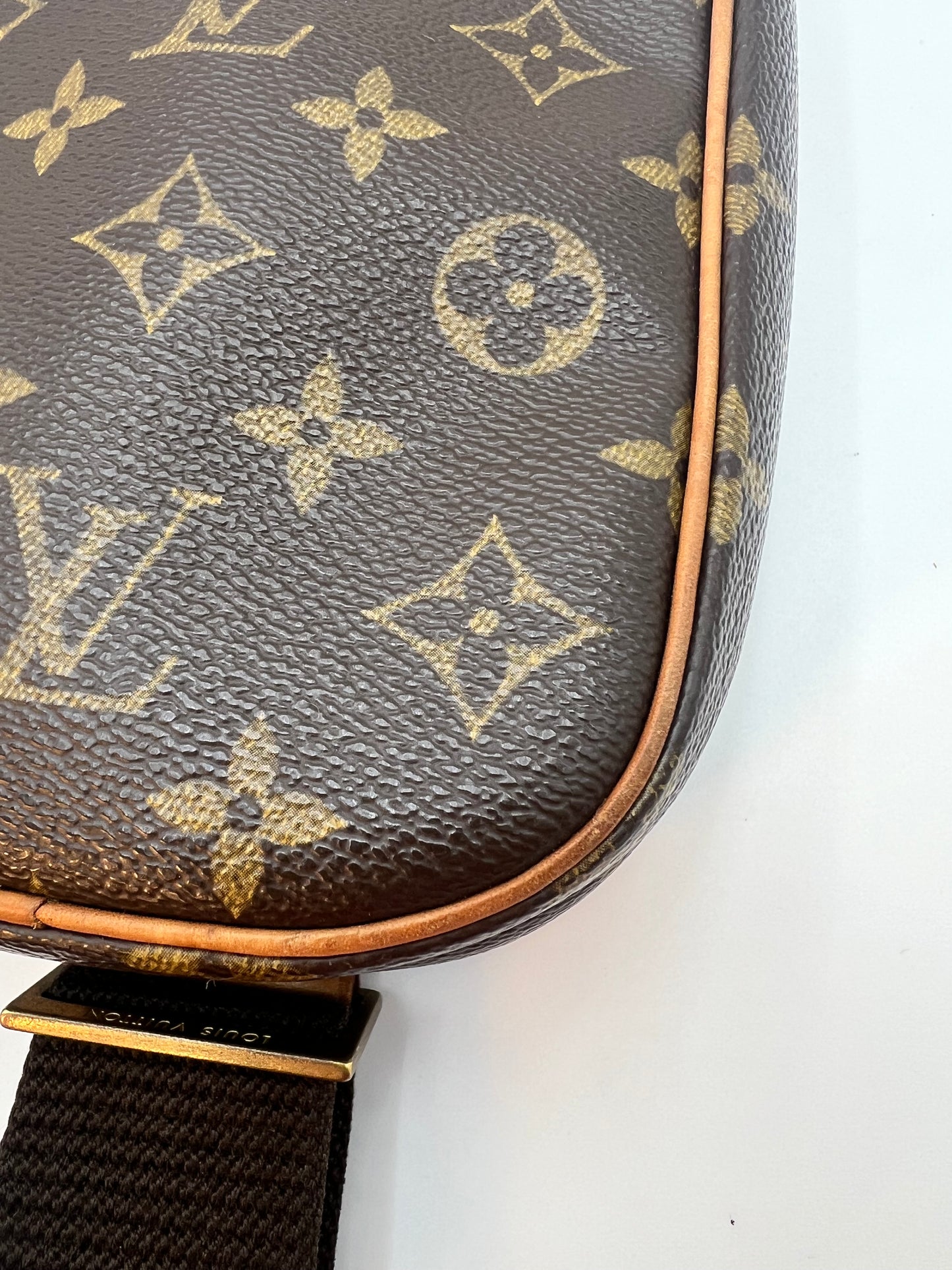 Louis Vuitton Pochette Gange Bum Bag