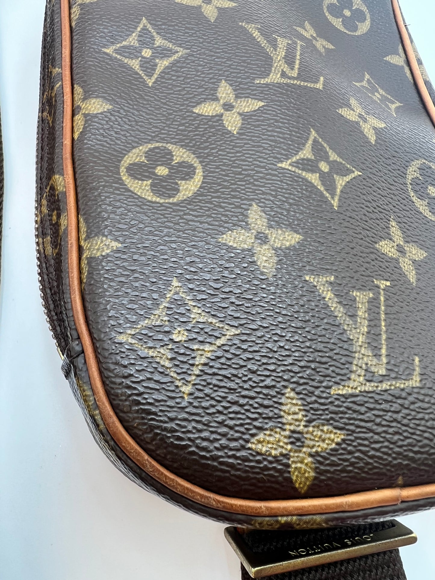Louis Vuitton Pochette Gange Bum Bag
