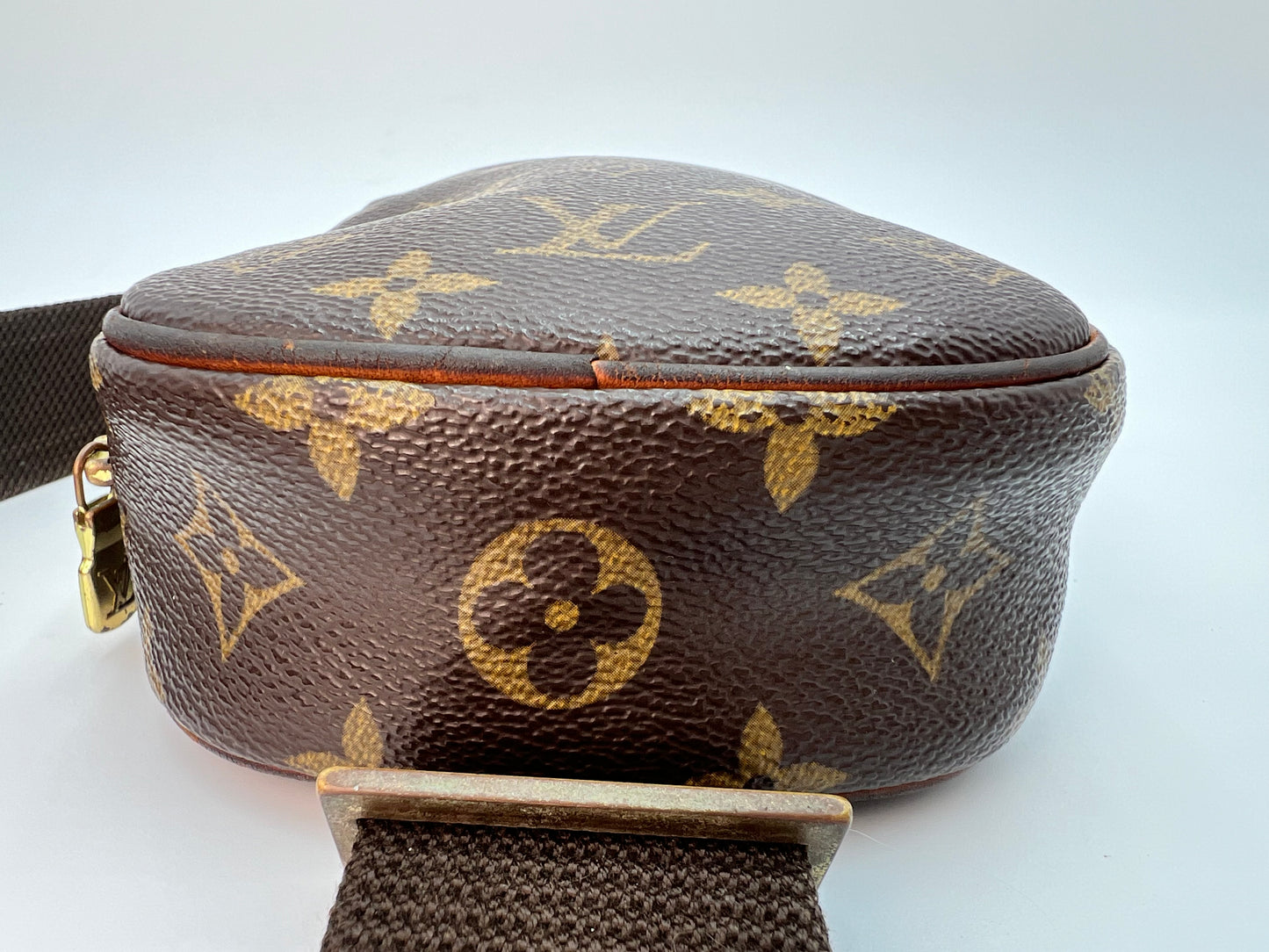 Louis Vuitton Pochette Gange Bum Bag